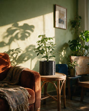 Diamond Net Planter – on a side table at golden hour