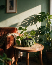 Diamond Relief Planter – on a side table at golden hour