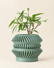 Disc Stack Planter – front view