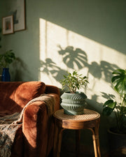 Disc Stack Planter – on a side table at golden hour