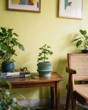 Disc Stack Planter – styled on a console