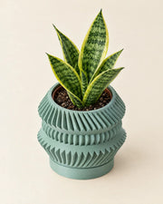 Disc Stack Planter – styled in use