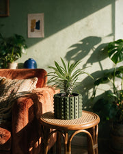 Dot Stud Planter – on a side table at golden hour