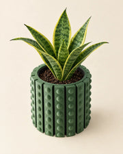 Dot Stud Planter – styled in use
