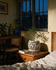 Drip Lattice Planter – at night on a bedside table