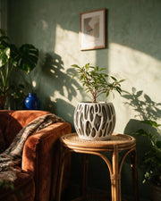 Drip Lattice Planter – on a side table at golden hour