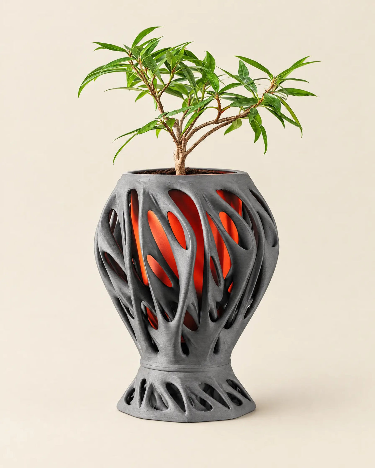 Ember Web Planter