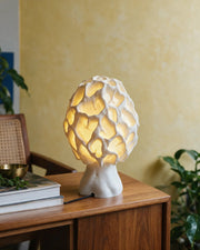 Esculenta Fungus Lamp – styled on a console