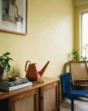 Facet Watering Can – styled on a console