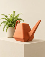 Facet Watering Can – styled in use