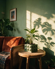 Faceted Cube Planter – on a side table at golden hour