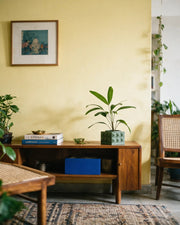 Faceted Cube Planter – styled on a console