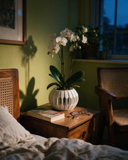 Faceted Lantern Orchid Planter – at night on a bedside table