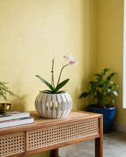 Faceted Lantern Orchid Planter – styled on a console