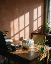 Faceted Lantern Orchid Planter – on a work desk in morning sun