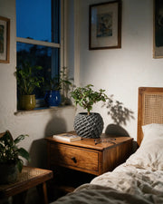 Faceted Orb Planter – at night on a bedside table