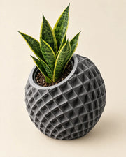 Faceted Orb Planter – styled in use