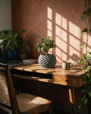 Faceted Orb Planter – on a work desk in morning sun