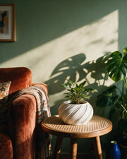Faceted Plinth Plant Stand – on a side table at golden hour