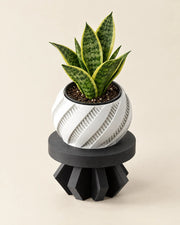 Faceted Plinth Plant Stand – styled in use