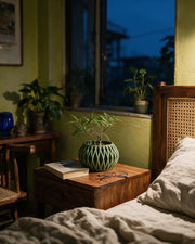 Fin Bowl Planter – at night on a bedside table