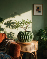 Fin Bowl Planter – on a side table at golden hour