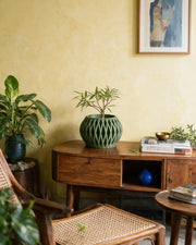 Fin Bowl Planter – styled on a console