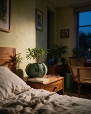 Fin Petal Planter – at night on a bedside table