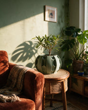 Fin Petal Planter – on a side table at golden hour