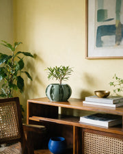 Fin Petal Planter – styled on a console