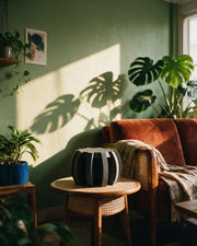 Fin Plant Stand – on a side table at golden hour