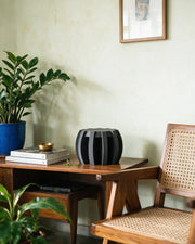 Fin Plant Stand – styled on a console