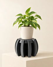 Fin Plant Stand – styled in use