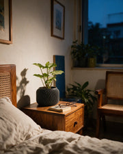 Fine Fin Planter – at night on a bedside table
