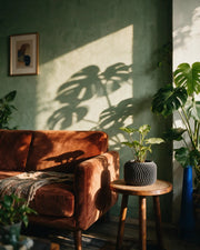 Fine Fin Planter – on a side table at golden hour