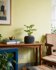 Fine Fin Planter – styled on a console