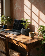 Fine Fin Planter – on a work desk in morning sun