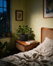 Fine Mesh Planter – at night on a bedside table