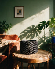 Fine Mesh Planter – on a side table at golden hour