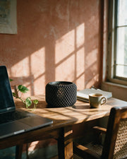 Fine Mesh Planter – on a work desk in morning sun