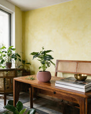 Fine Rib Bud Planter – styled on a console