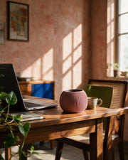 Fine Rib Bud Planter – on a work desk in morning sun