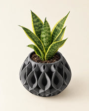 Flame Relief Planter – styled in use