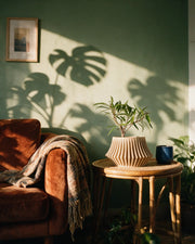 Flared Fin Planter – on a side table at golden hour
