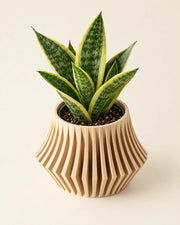 Flared Fin Planter – styled in use