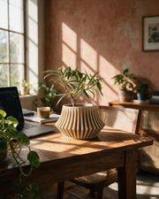 Flared Fin Planter – on a work desk in morning sun