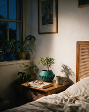 Flute Flare Planter – at night on a bedside table