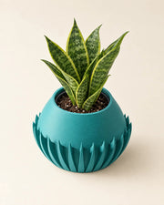 Flute Flare Planter – styled in use