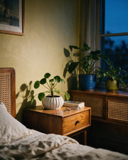 Fluted Bowl Planter – at night on a bedside table