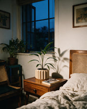 Fluted Drum Planter – at night on a bedside table